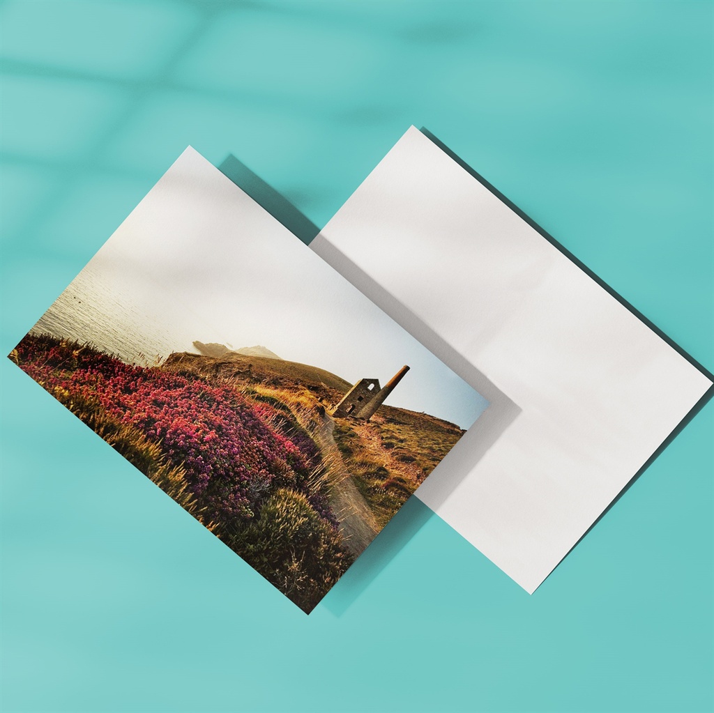 [PFV-000455] Postales 5'' x 7'' - 1 lado (1000, 1 Lado)